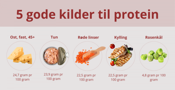 Gode kilder til protein